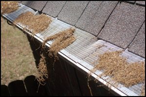 houston_tx_gutter_helmet_leaf_guards